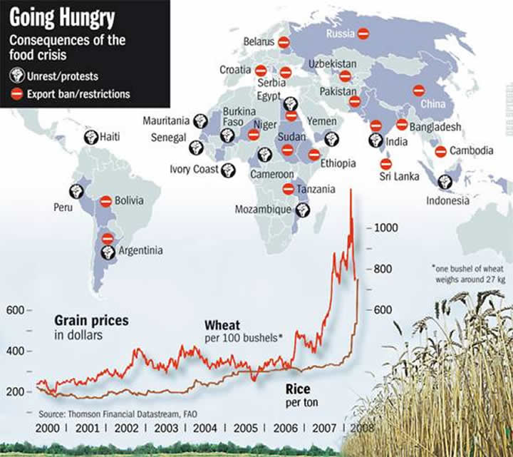 World Food Prices Hit Record High Global Sherpa